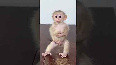 Let your smile be as innocent and joyful as a baby monkey’s! 😍🐒