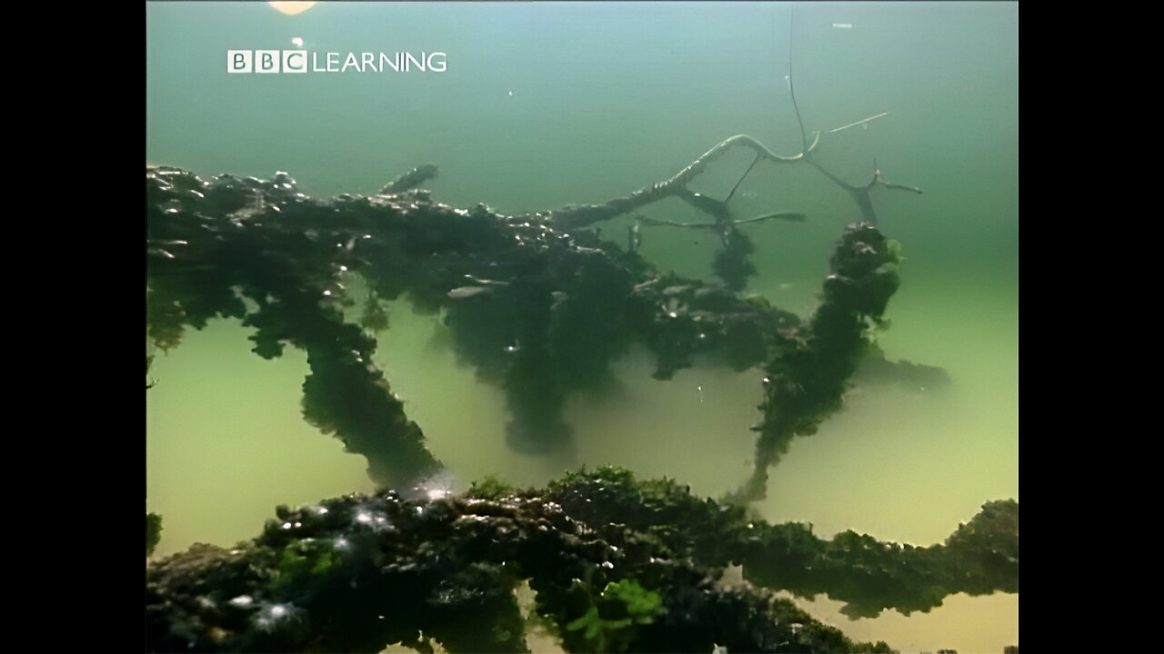 HORIZON - Atlantis Uncovered (1999)