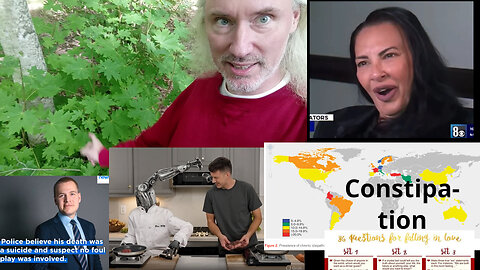 36 love questions. 3 armed robot. ADL & AIPAC spying. Threats. Constipation. 🇫🇮 Parliament suicide