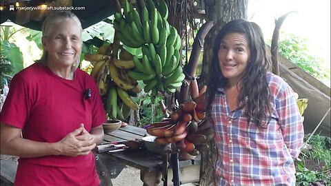 Off-grid Living Workshop in Puerto Rico