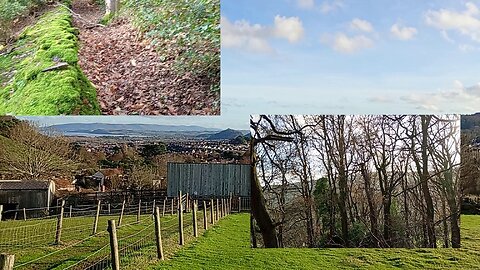 02, #winter , hike , woods , stealth camping