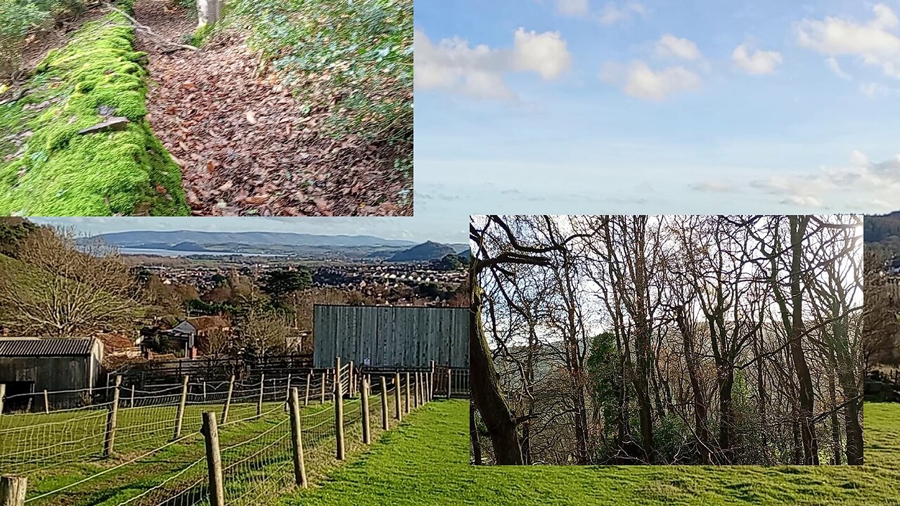 02, #winter , hike , woods , stealth camping