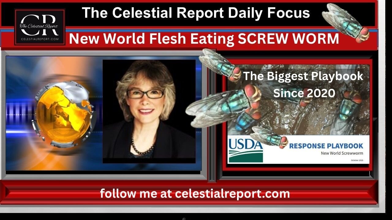 New World Flesh Eating SCREW WORM