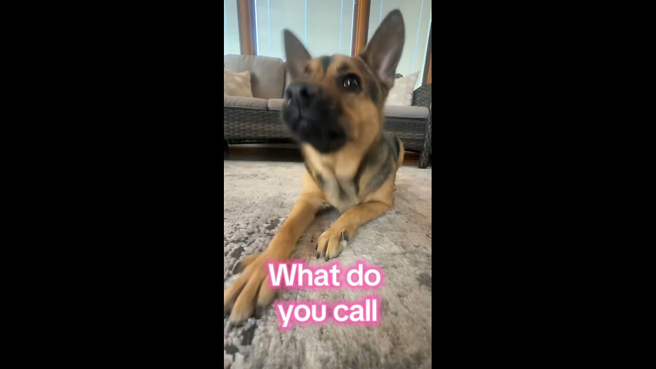 Trying my jokes again! 🩷 Tell me what you think!