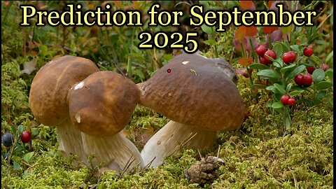 Prediction for September 2025 - A reading with Crystal Ball and Tarot