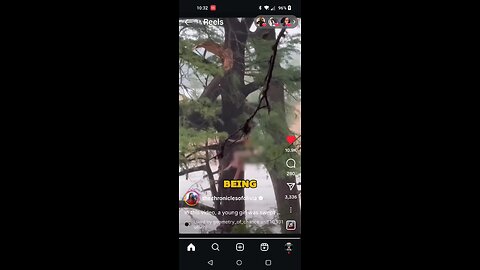 Amazing Survival Story