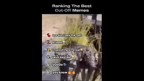 Funniest Memes 🤣.