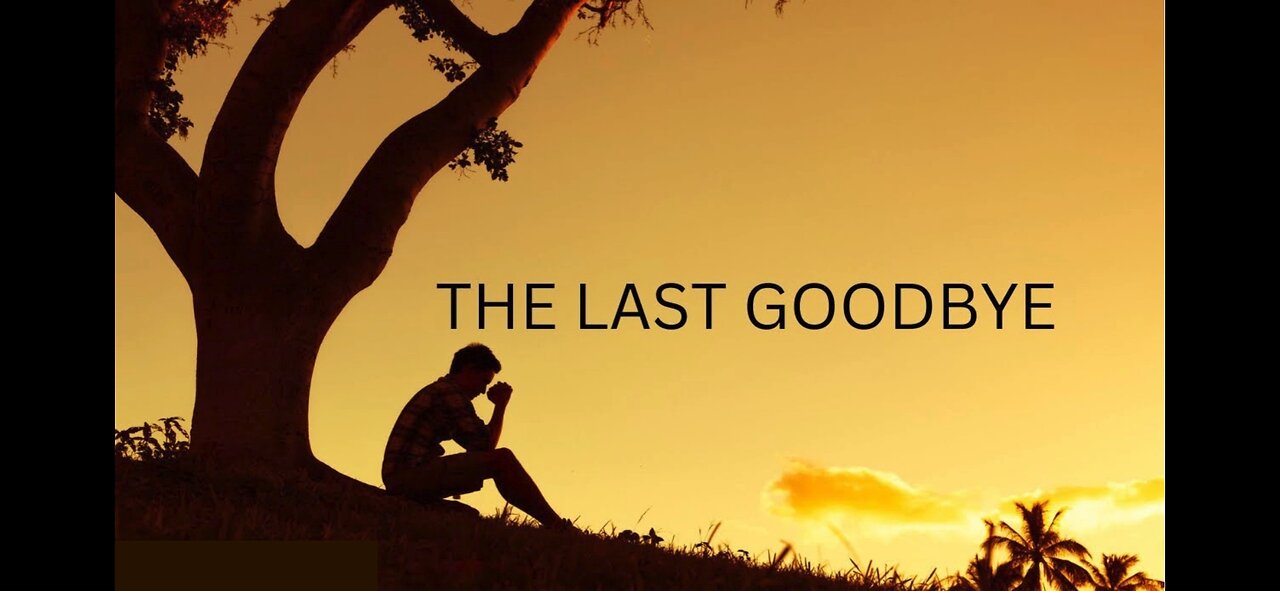 The Last Goodbye