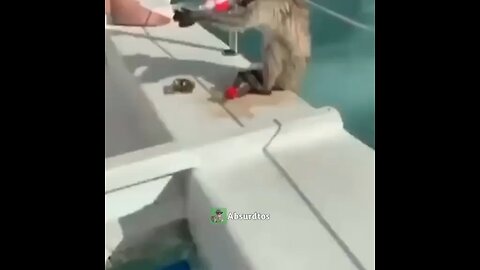 humor 21centuryhumor shitpost meme absurdmeme absurdhumor foryou