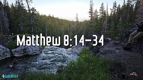 Matthew 8:14-34, Bible Reading in Nature, BSB