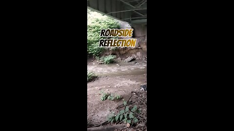 Roadside Reflection - Stewardship
