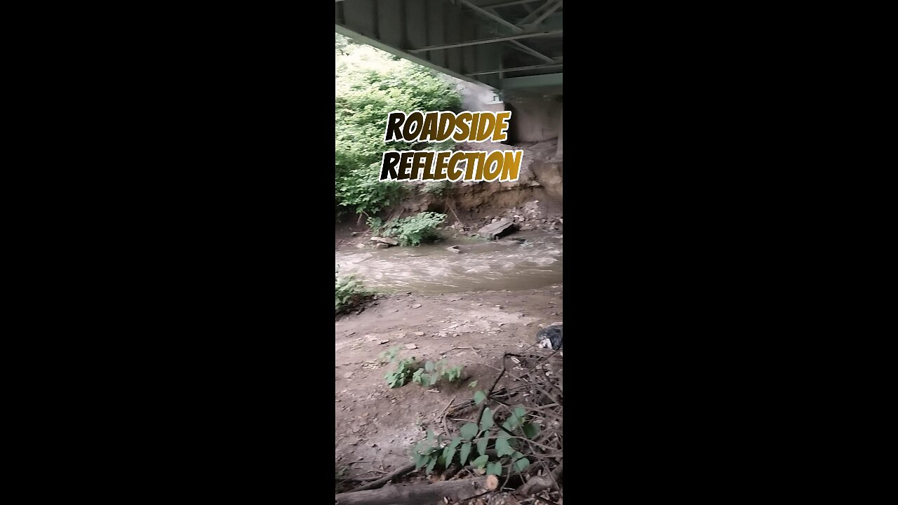 Roadside Reflection - Stewardship