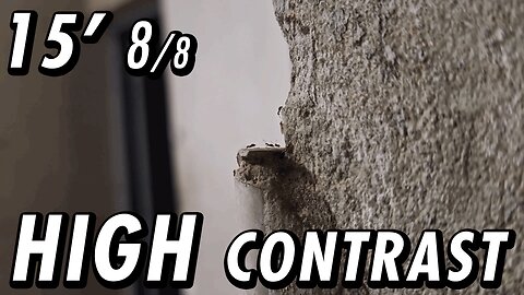 ASMR | A white background view from the "cliff", watching the ants come and go - 15' 8/8