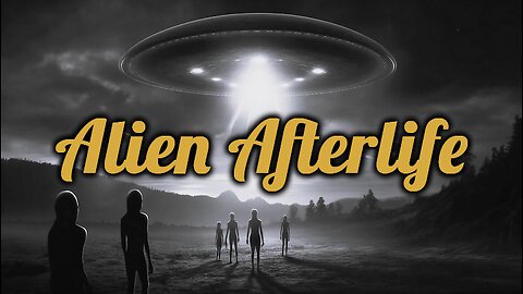 Aliens, NDEs and the Afterlife: The Hereafter and UFO Close Encounters in another Dimension