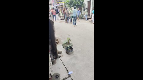 vlog video