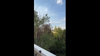 A nice day outside