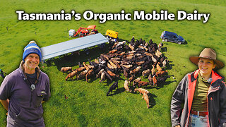 Organic Mobile Dairy! 100% Grassfed Cows = The BEST Milk!