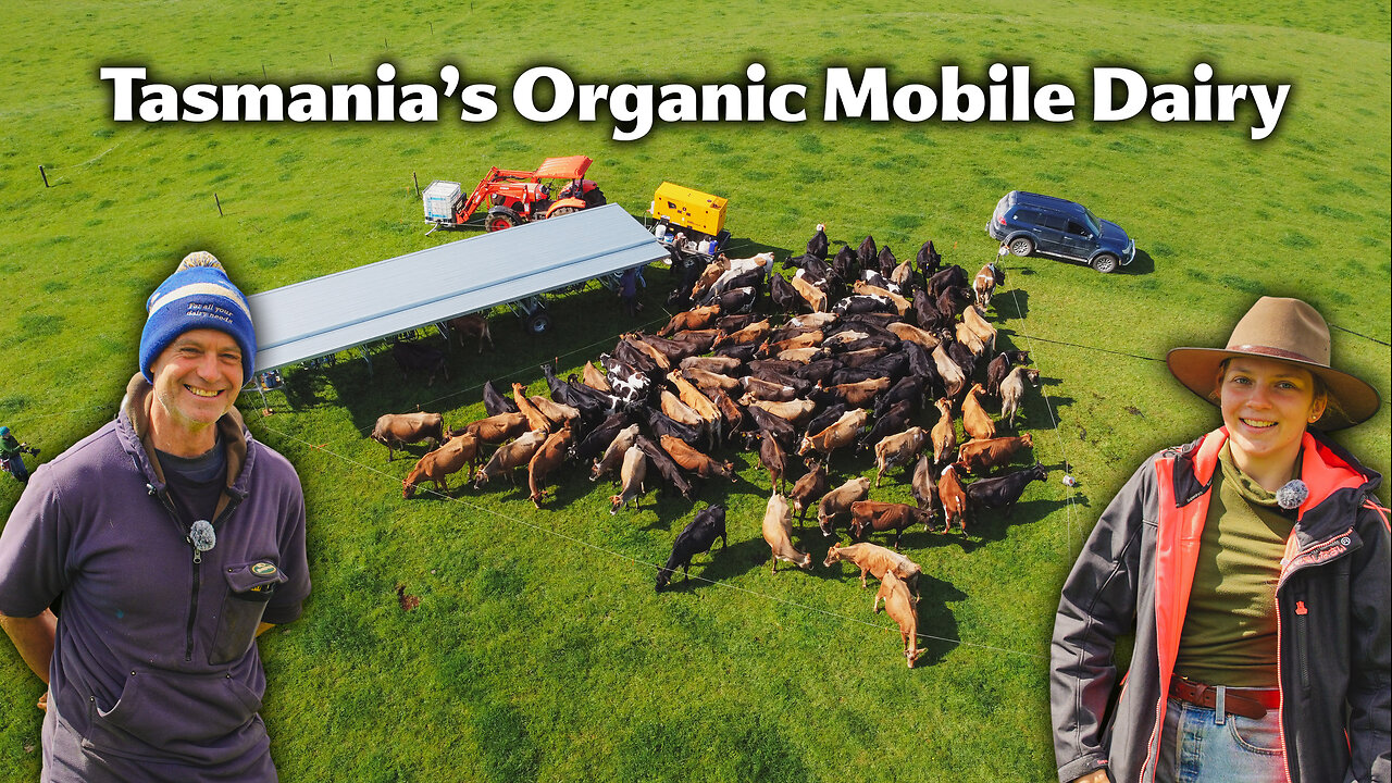 Organic Mobile Dairy! 100% Grassfed Cows = The BEST Milk!
