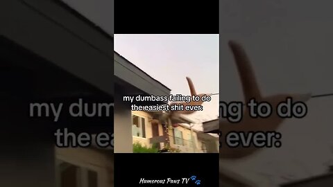 Funny animals 2024😂- Funniest Cats and Dogs Video😹🐶 #28