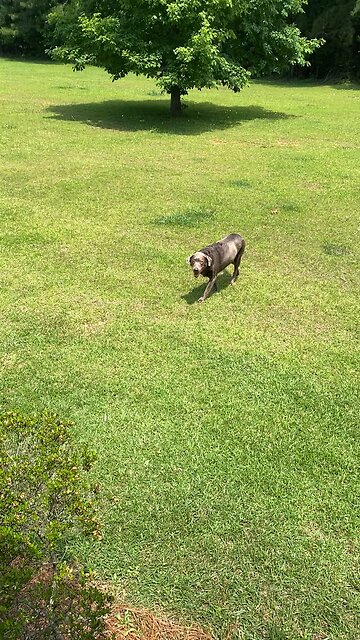 It's hot. I'm going in the house…