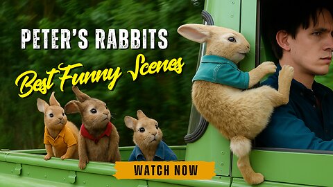 Peter Rabbit's best funny scenes 🌀 4K
