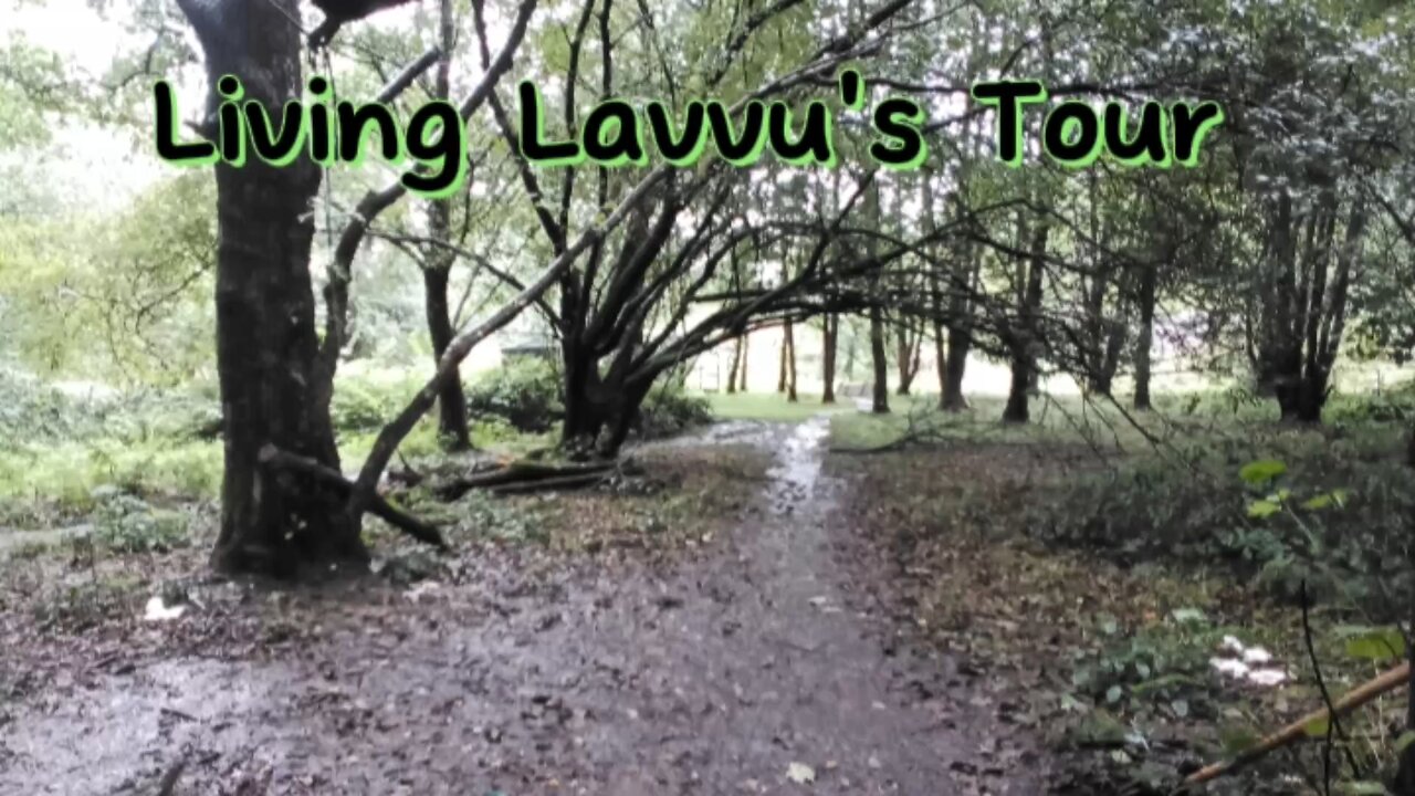 Short Tour Of The Area