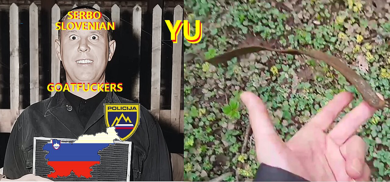 SLOVENIAN SCHIZOPHRENIA via Milan Kučan Graben Bridge explained