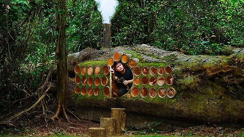 Hidden Forest Shelter Inside a Giant Tree – Warm, Secure & Built From Scratch!