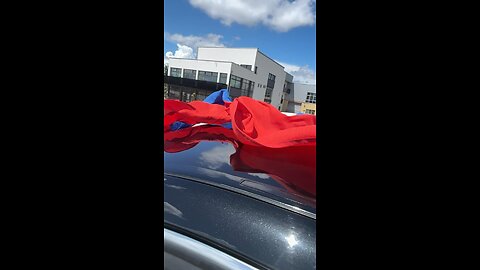 Serbian Flag