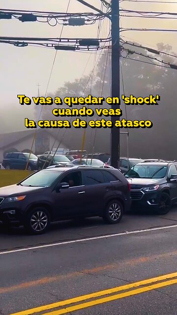🤯 El insólito motivo que deja una autopista paralizada