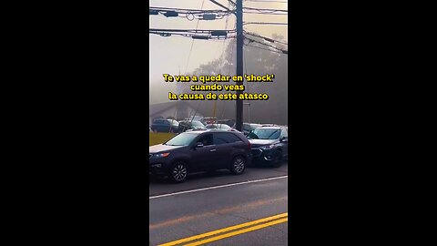 🤯 El insólito motivo que deja una autopista paralizada