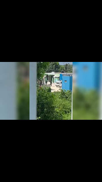 Man Selling Water Falls Dead