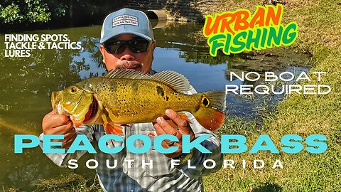 Urban Fishing for Peacock Bass in South Florida