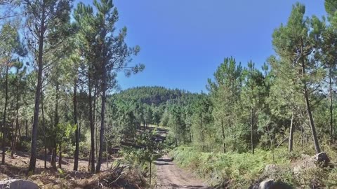 He Built an Energy System with No Fuel… Then We Ignored It