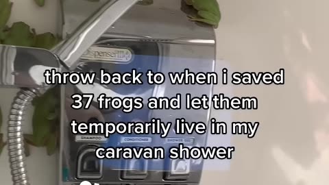 This girl saved an army of frogs