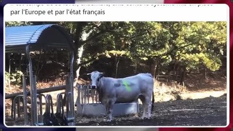 Abattage Total : Il est temps de se lever ensemble