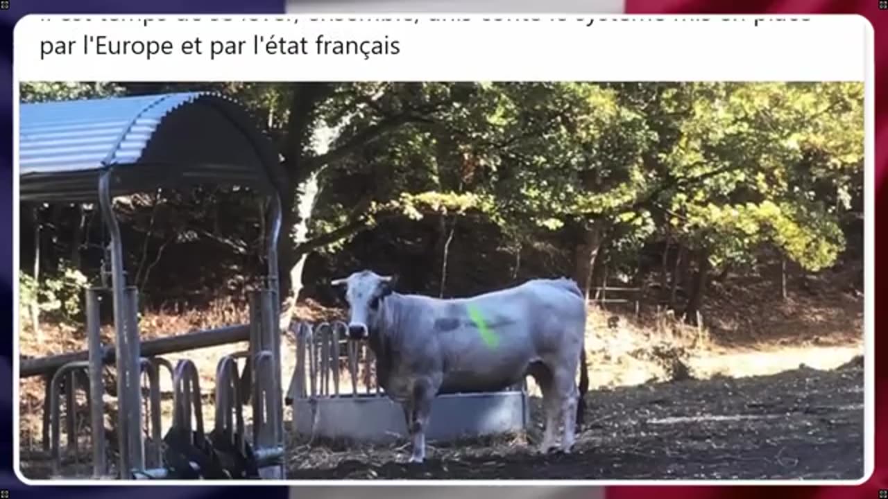 Abattage Total : Il est temps de se lever ensemble