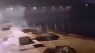 Hombre atacó cruelmente con fuegos artificiales a lobos marinos