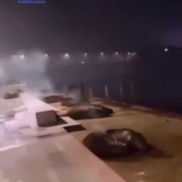 Hombre atacó cruelmente con fuegos artificiales a lobos marinos