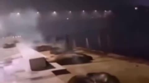 Hombre atacó cruelmente con fuegos artificiales a lobos marinos