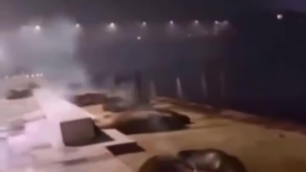 Hombre atacó cruelmente con fuegos artificiales a lobos marinos