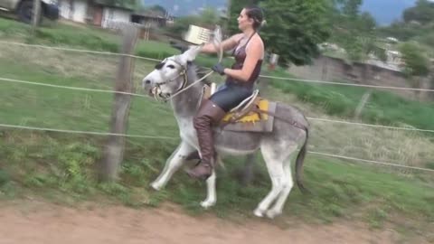 Donkey Riding Girl