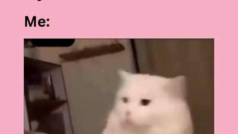 😂