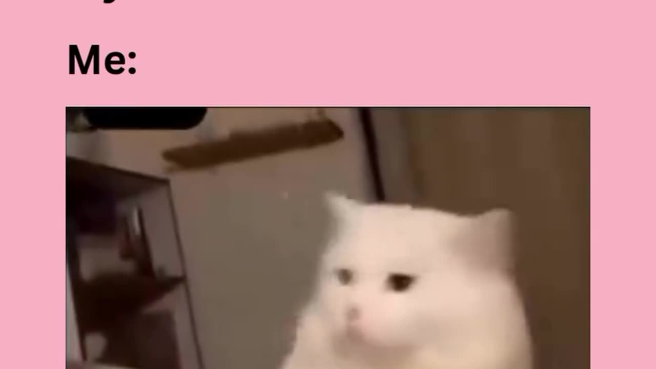 😂