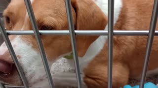VID_20250917_161203292