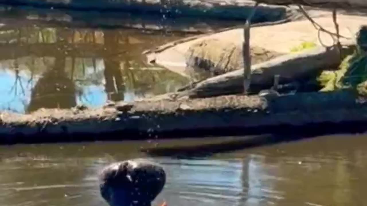 Você é Mais Forte do Que Imagina