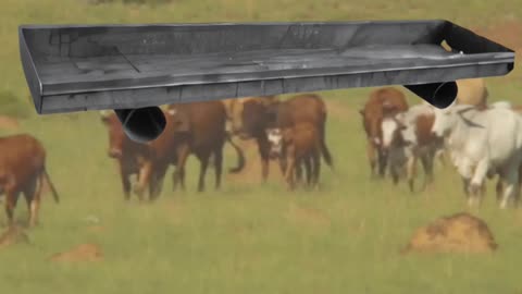 Superior Standard Feed Bunk