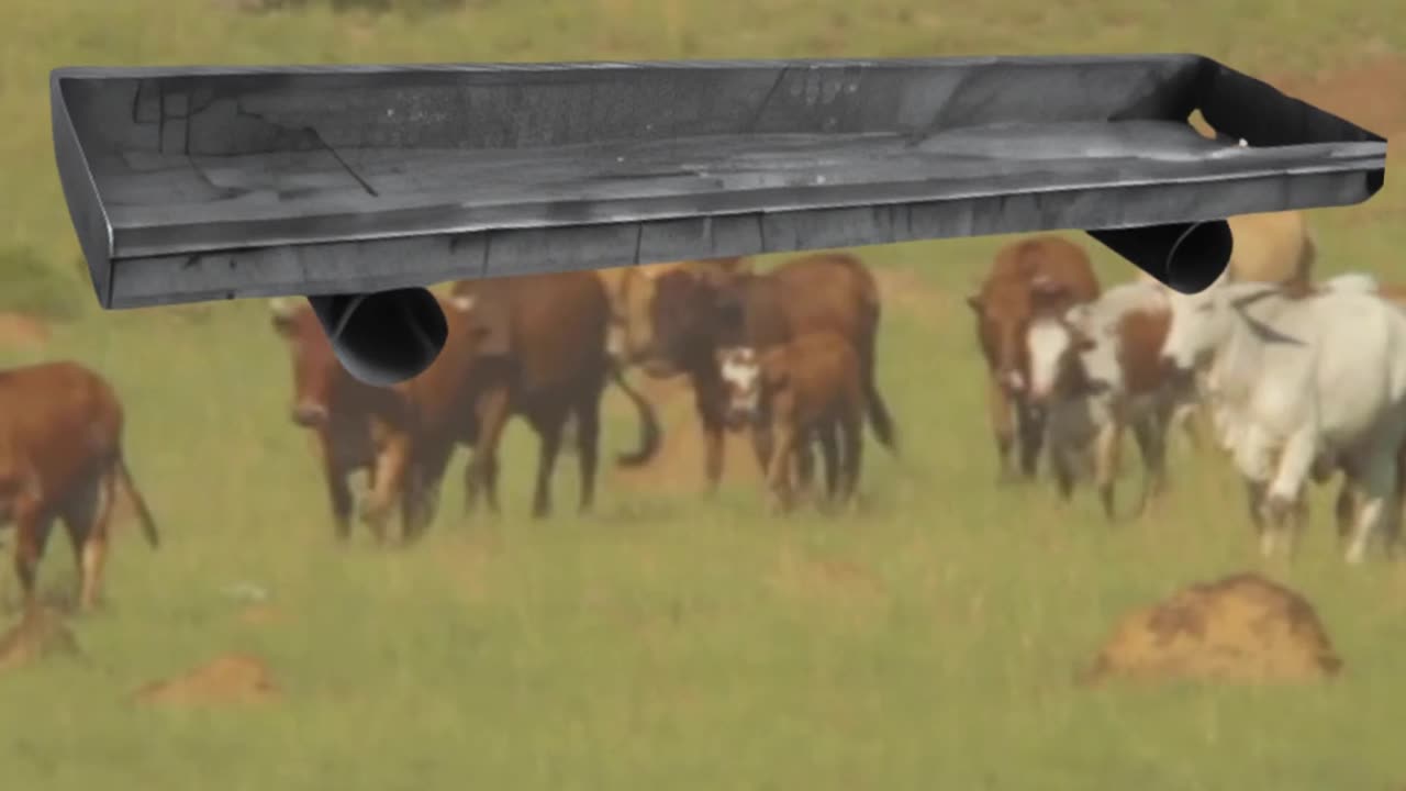 Superior Standard Feed Bunk