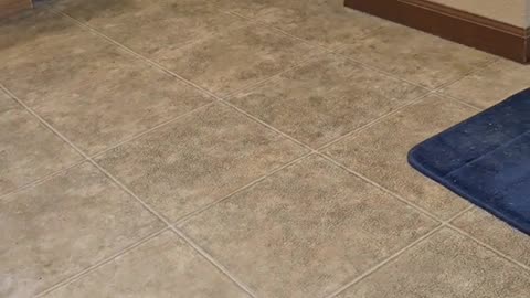 Being silly when i'm trying to poop