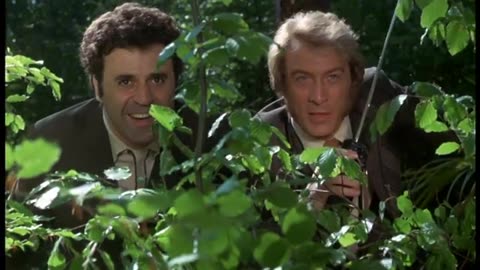 The Persuaders 1971 s1d5e18